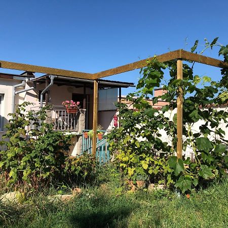 Ubytovani U Jerabku - Parkovani Zdarma Mikulov Εξωτερικό φωτογραφία